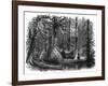 Canada Native Lodges-null-Framed Art Print