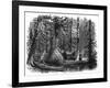 Canada Native Lodges-null-Framed Art Print