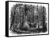 Canada Native Lodges-null-Framed Stretched Canvas