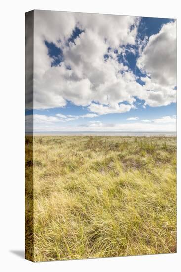 Canada, New Brunswick, Bay of Fundy, Alma. Gateway to Fundy National Park, town beach.-Walter Bibikow-Stretched Canvas