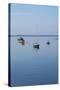 Canada, New Brunswick. Fishing Boats on Passamaquoddy Bay-Cindy Miller Hopkins-Stretched Canvas