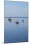 Canada, New Brunswick. Fishing Boats on Passamaquoddy Bay-Cindy Miller Hopkins-Mounted Photographic Print