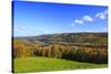 Canada, Nova Scotia, Cape Breton, Cabot Trail, Fall colors in Margaree-Patrick J. Wall-Stretched Canvas