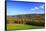 Canada, Nova Scotia, Cape Breton, Cabot Trail, Fall colors in Margaree-Patrick J. Wall-Framed Stretched Canvas