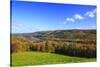 Canada, Nova Scotia, Cape Breton, Cabot Trail, Fall colors in Margaree-Patrick J. Wall-Stretched Canvas