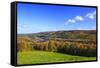 Canada, Nova Scotia, Cape Breton, Cabot Trail, Fall colors in Margaree-Patrick J. Wall-Framed Stretched Canvas