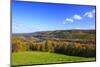 Canada, Nova Scotia, Cape Breton, Cabot Trail, Fall colors in Margaree-Patrick J. Wall-Mounted Photographic Print