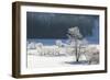 Canada, Nova Scotia, Cape Breton, Cabot Trail, Frosted Trees in Margaree-Patrick J. Wall-Framed Photographic Print