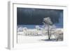 Canada, Nova Scotia, Cape Breton, Cabot Trail, Frosted Trees in Margaree-Patrick J. Wall-Framed Photographic Print