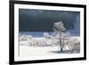 Canada, Nova Scotia, Cape Breton, Cabot Trail, Frosted Trees in Margaree-Patrick J. Wall-Framed Photographic Print