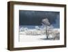 Canada, Nova Scotia, Cape Breton, Cabot Trail, Frosted Trees in Margaree-Patrick J. Wall-Framed Premium Photographic Print