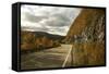 Canada, Nova Scotia, Cape Breton, Cabot Trail in Golden Fall Color-Patrick J. Wall-Framed Stretched Canvas