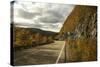 Canada, Nova Scotia, Cape Breton, Cabot Trail in Golden Fall Color-Patrick J. Wall-Stretched Canvas