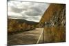 Canada, Nova Scotia, Cape Breton, Cabot Trail in Golden Fall Color-Patrick J. Wall-Mounted Photographic Print