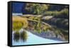 Canada, Nova Scotia, Cape Breton, Cabot Trail, Margaree river reflections-Patrick J. Wall-Framed Stretched Canvas