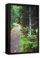 Canada, Nova Scotia, Guysborough. Boylston Provincial Park trail.-Kymri Wilt-Framed Stretched Canvas