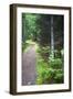 Canada, Nova Scotia, Guysborough. Boylston Provincial Park trail.-Kymri Wilt-Framed Photographic Print