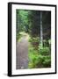 Canada, Nova Scotia, Guysborough. Boylston Provincial Park trail.-Kymri Wilt-Framed Photographic Print