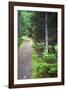 Canada, Nova Scotia, Guysborough. Boylston Provincial Park trail.-Kymri Wilt-Framed Photographic Print