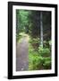 Canada, Nova Scotia, Guysborough. Boylston Provincial Park trail.-Kymri Wilt-Framed Photographic Print