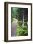 Canada, Nova Scotia, Guysborough. Boylston Provincial Park trail.-Kymri Wilt-Framed Photographic Print