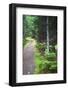 Canada, Nova Scotia, Guysborough. Boylston Provincial Park trail.-Kymri Wilt-Framed Photographic Print