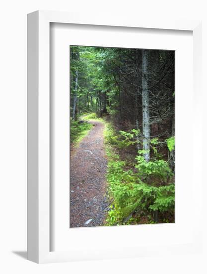Canada, Nova Scotia, Guysborough. Boylston Provincial Park trail.-Kymri Wilt-Framed Photographic Print