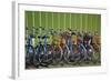 Canada, Nova Scotia, Halifax. Bicycles for rent along the waterfront.-Kymri Wilt-Framed Photographic Print