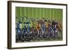 Canada, Nova Scotia, Halifax. Bicycles for rent along the waterfront.-Kymri Wilt-Framed Photographic Print