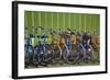 Canada, Nova Scotia, Halifax. Bicycles for rent along the waterfront.-Kymri Wilt-Framed Photographic Print