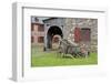 Canada, Nova Scotia, Louisbourg. Fortress of Louisbourg. Wooden Wagon-Cindy Miller Hopkins-Framed Photographic Print