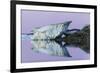 Canada, Nunavut, Iceberg Reflected in Calm Waters at Dusk-Paul Souders-Framed Photographic Print