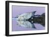 Canada, Nunavut, Iceberg Reflected in Calm Waters at Dusk-Paul Souders-Framed Photographic Print