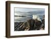 Canada, Nunavut, Iceberg Stranded by Low Tide Along Frozen Channel-Paul Souders-Framed Photographic Print