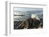 Canada, Nunavut, Iceberg Stranded by Low Tide Along Frozen Channel-Paul Souders-Framed Photographic Print