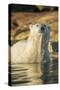 Canada, Nunavut, Polar Bear Wading into Shallow Water of Hudson Bay-Paul Souders-Stretched Canvas