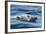 Canada, Nunavut, Repulse Bay, Polar Bear Swimming Near Harbour Islands-Paul Souders-Framed Photographic Print