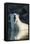 Canada, Nunavut, Repulse Bay, Polar Bears Yawning in Water-Paul Souders-Framed Stretched Canvas