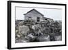 Canada, Nunavut Territory, Abandoned Ruins of Trading Post Along Hudson Bay at Fullerton Harbor-Paul Souders-Framed Photographic Print