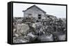 Canada, Nunavut Territory, Abandoned Ruins of Trading Post Along Hudson Bay at Fullerton Harbor-Paul Souders-Framed Stretched Canvas