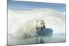 Canada, Nunavut Territory, Polar Bear on an Iceberg in Hudson Bay-Paul Souders-Mounted Photographic Print