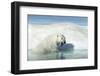 Canada, Nunavut Territory, Polar Bear on an Iceberg in Hudson Bay-Paul Souders-Framed Photographic Print