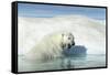 Canada, Nunavut Territory, Polar Bear on an Iceberg in Hudson Bay-Paul Souders-Framed Stretched Canvas