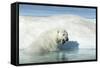 Canada, Nunavut Territory, Polar Bear on an Iceberg in Hudson Bay-Paul Souders-Framed Stretched Canvas