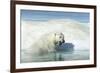 Canada, Nunavut Territory, Polar Bear on an Iceberg in Hudson Bay-Paul Souders-Framed Photographic Print