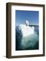 Canada, Nunavut Territory, Polar Bear on an Iceberg in Hudson Bay-Paul Souders-Framed Photographic Print