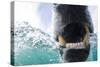 Canada, Nunavut Territory, Repulse Bay, Polar Bear in Hudson Bay-Paul Souders-Stretched Canvas