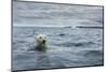 Canada, Nunavut Territory, Repulse Bay, Polar Bear Swimming Near Harbor Islands-Paul Souders-Mounted Photographic Print