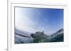 Canada, Nunavut Territory, Repulse Bay, Polar Bear Swimming-Paul Souders-Framed Photographic Print