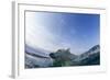 Canada, Nunavut Territory, Repulse Bay, Polar Bear Swimming-Paul Souders-Framed Photographic Print